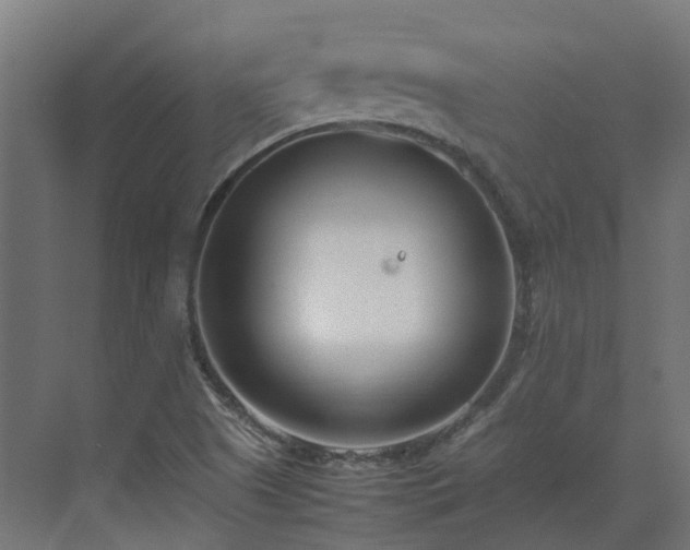 X0000075361505200609151623