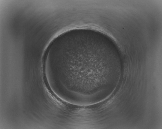 X0000075361506200609151623