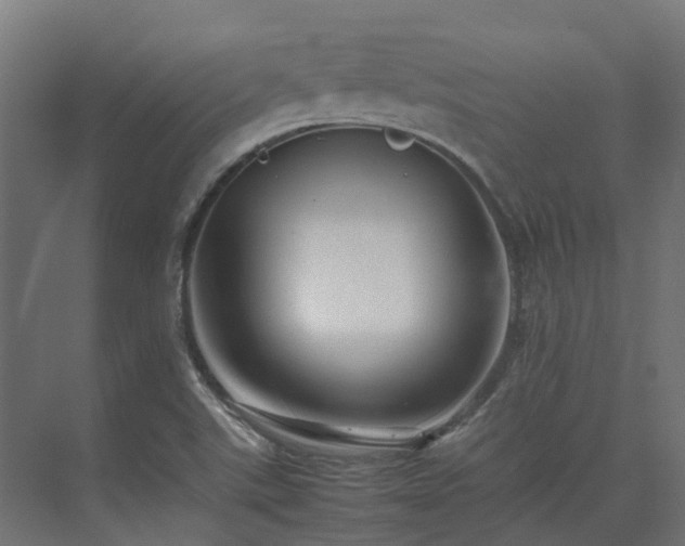 X0000075361507200609151623