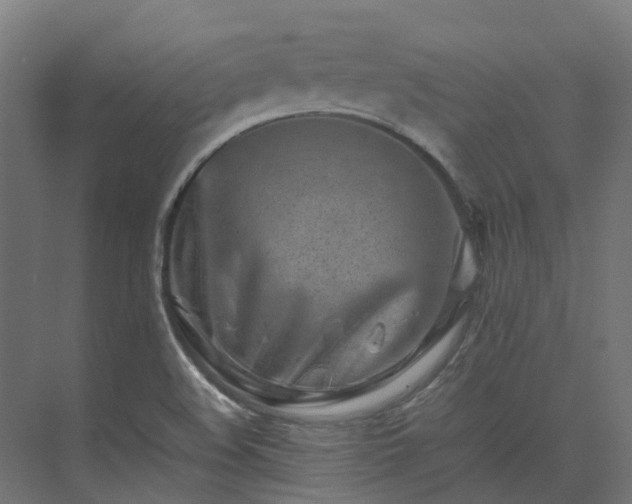 X0000075361508200609151623