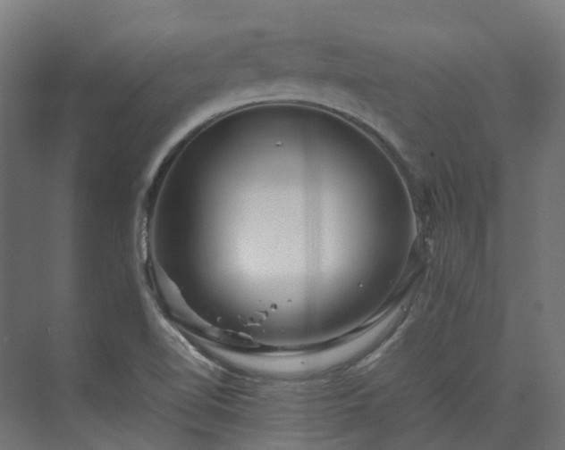 X0000075361510200609151623