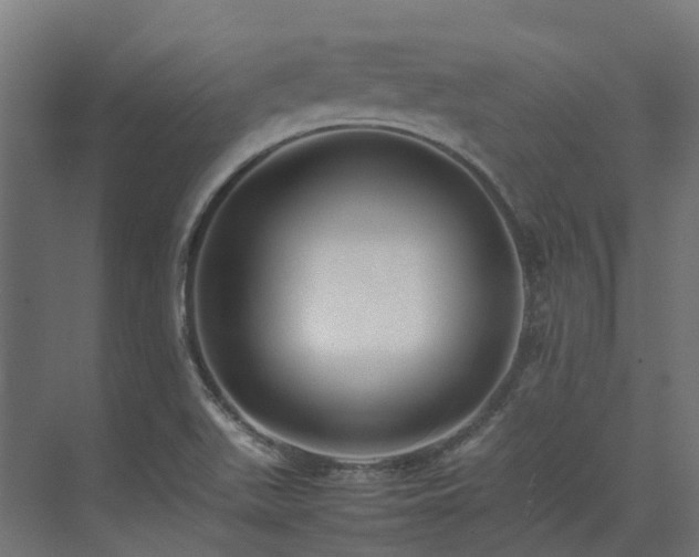 X0000075361511200609151623