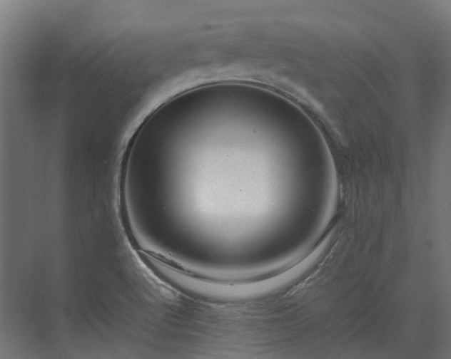 X0000075361512200609151623