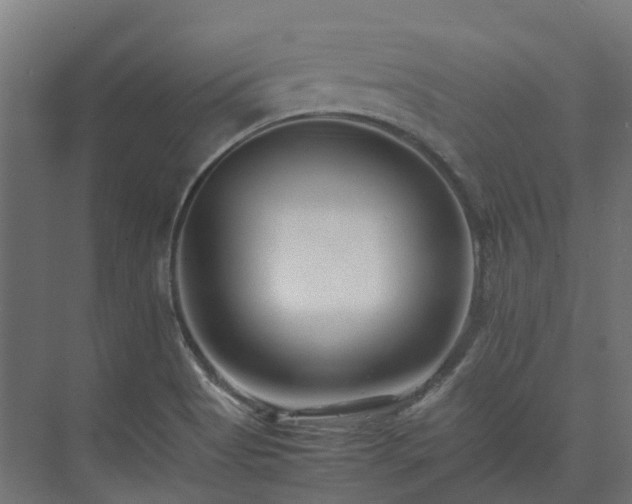 X0000075361513200609151623