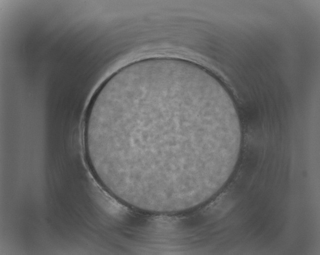 X0000075361514200609151623