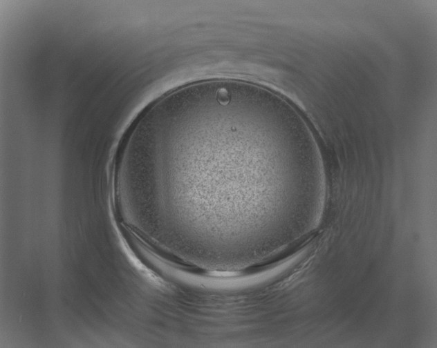 X0000075361515200609151623