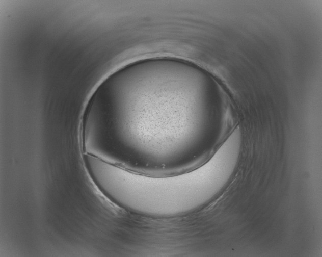 X0000075361516200609151623