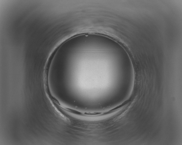 X0000075361517200609151623