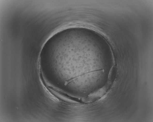 X0000075361522200609151623