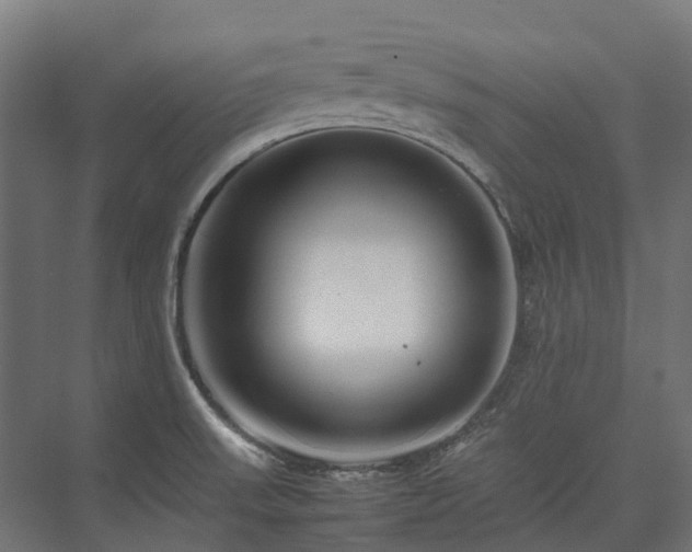 X0000075361523200609151623