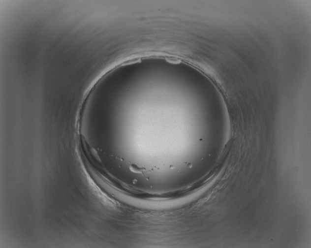 X0000075361524200609151623