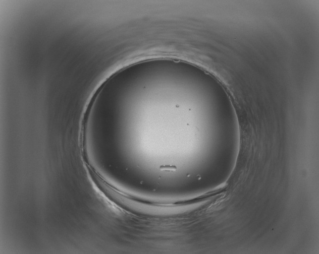 X0000075361527200609151623