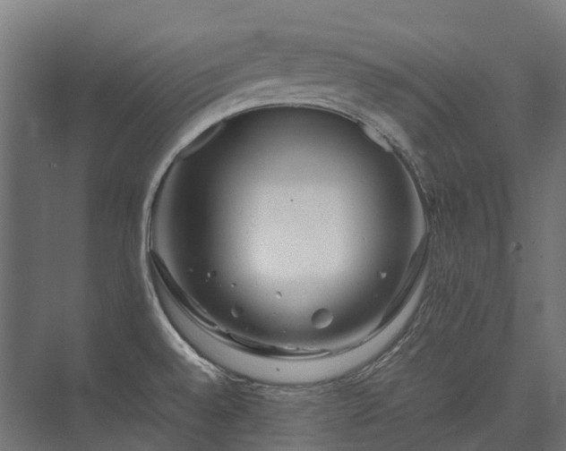 X0000075361528200609151624