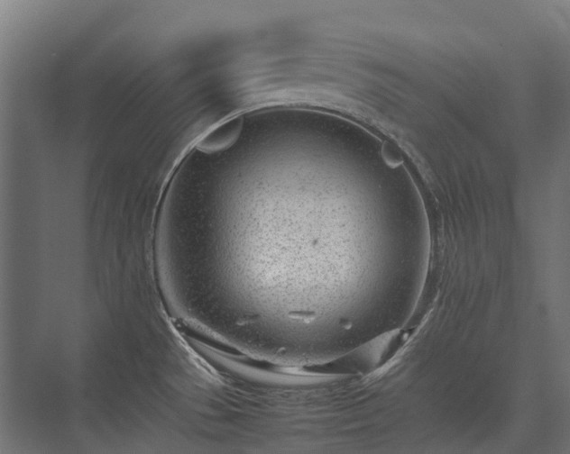 X0000075361529200609151624