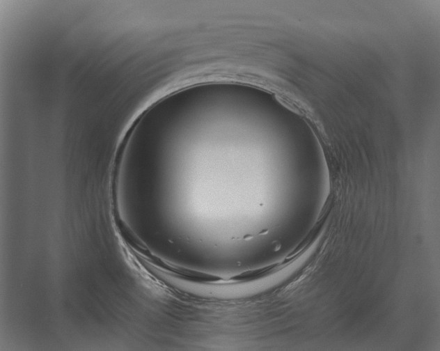 X0000075361530200609151624