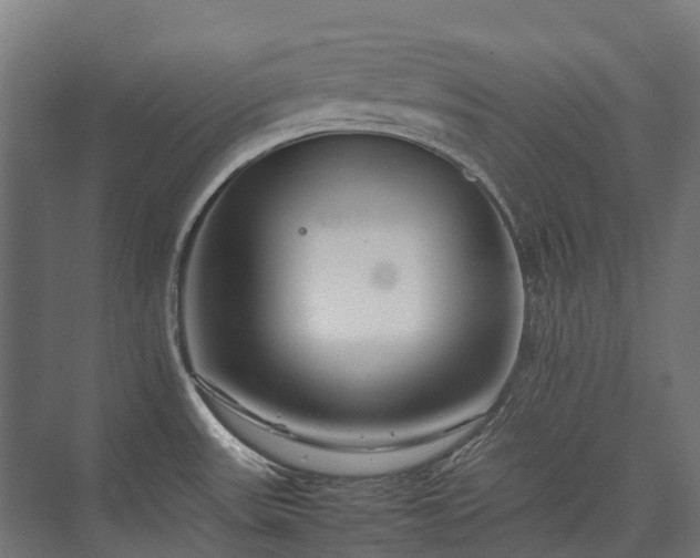 X0000075361531200609151624