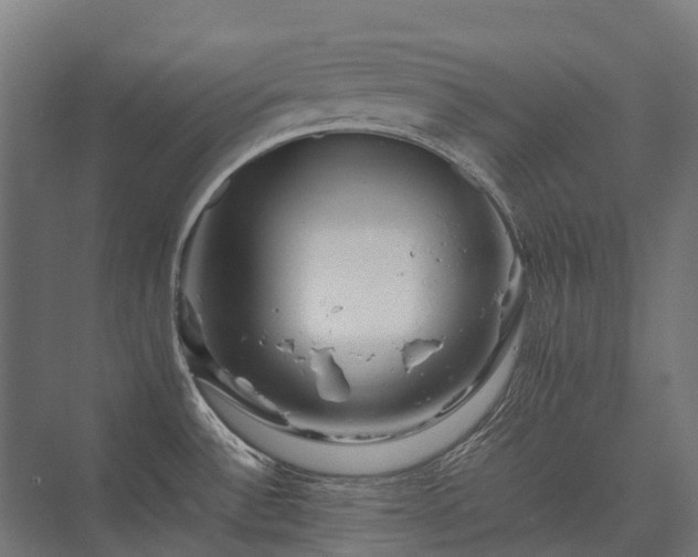 X0000075361532200609151624