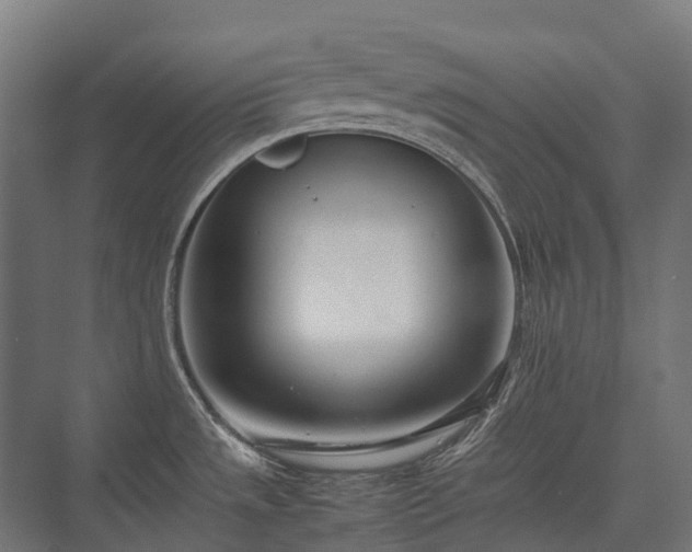 X0000075361533200609151624