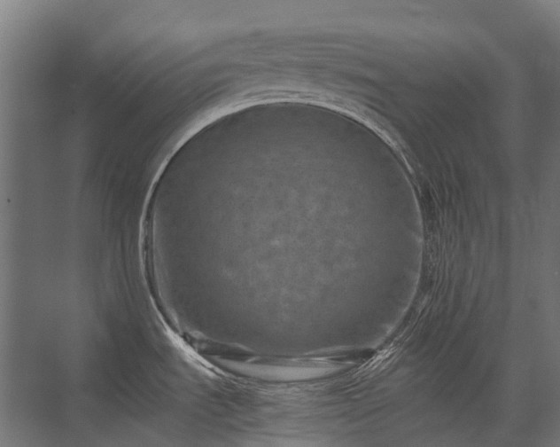 X0000075361535200609151624