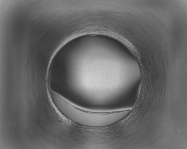 X0000075361536200609151624