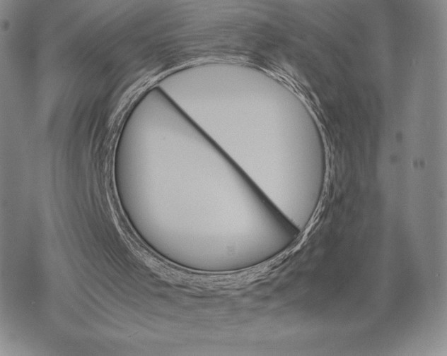 X0000075360001200609251113