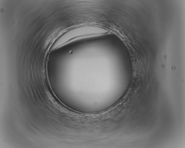 X0000075360002200609251113