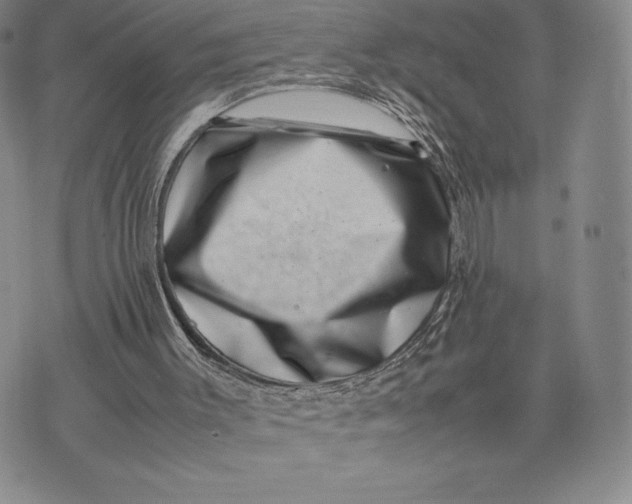 X0000075360003200609251113