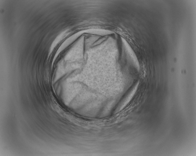 X0000075360004200609251113