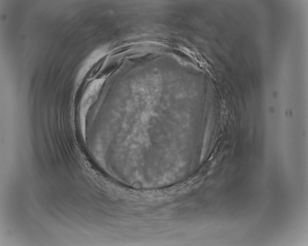 X0000075360006200609251113