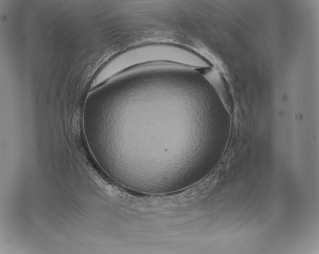 X0000075360009200609251113