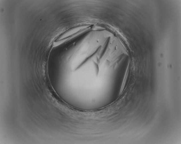 X0000075360010200609251113