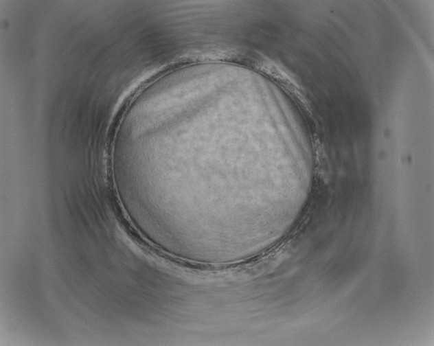 X0000075360012200609251113