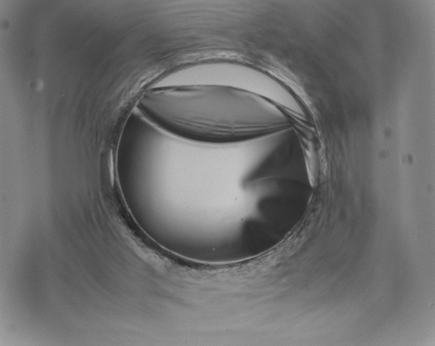 X0000075360013200609251113