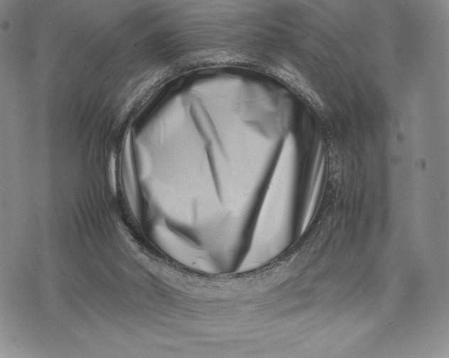 X0000075360014200609251113