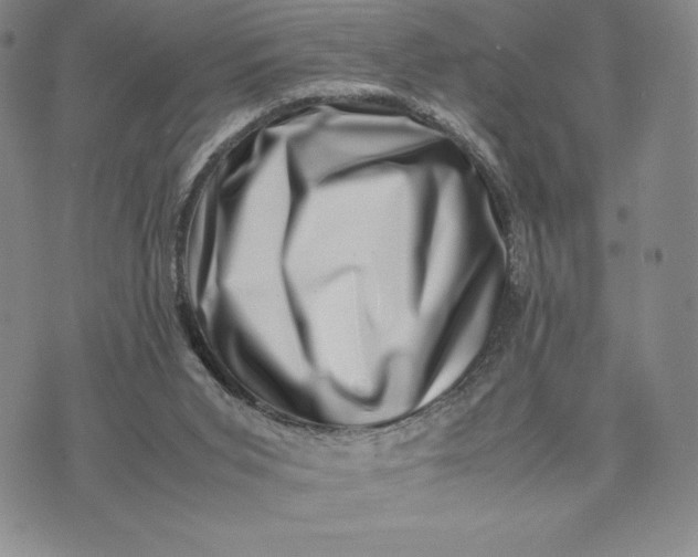 X0000075360015200609251113