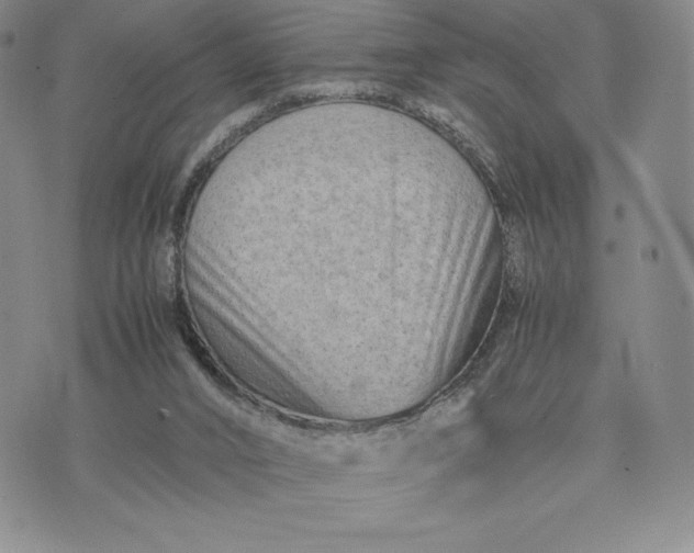 X0000075360016200609251113