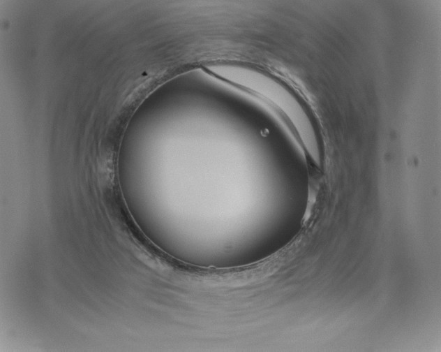 X0000075360017200609251113