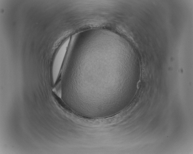 X0000075360019200609251113