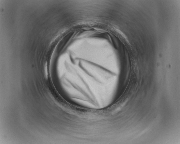 X0000075360020200609251113