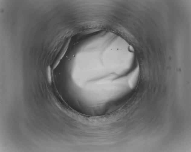 X0000075360022200609251113