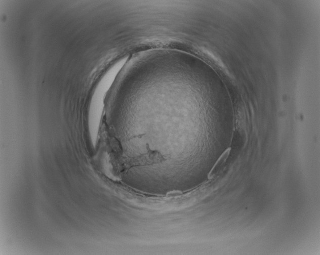 X0000075360023200609251113