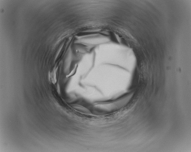 X0000075360024200609251113