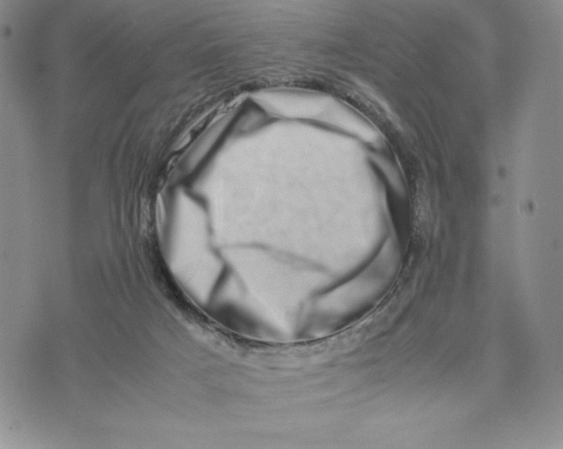 X0000075360025200609251113