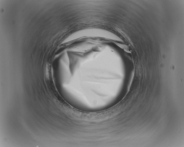 X0000075360026200609251113