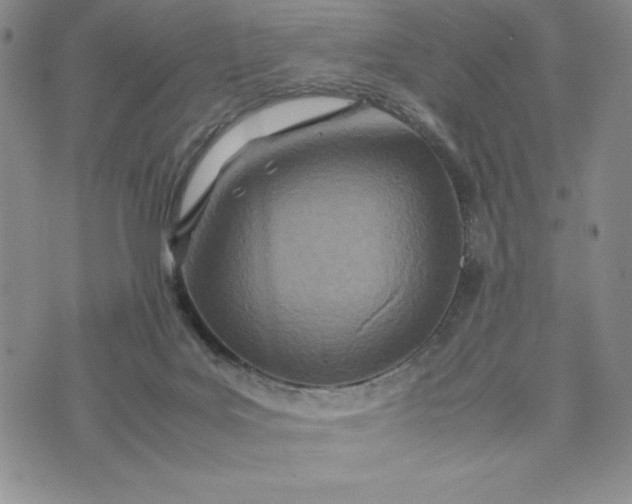 X0000075360027200609251113