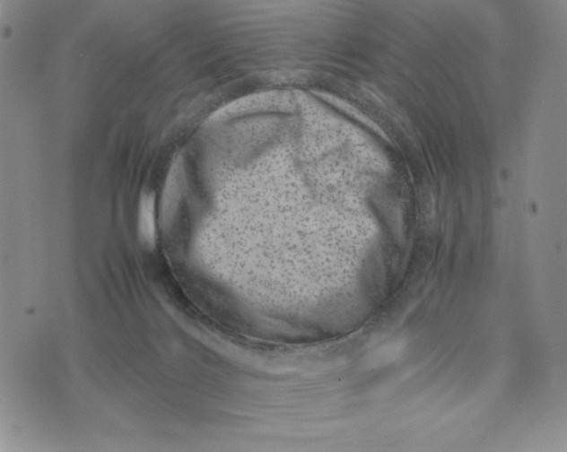 X0000075360028200609251113