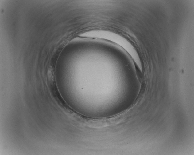 X0000075360029200609251113