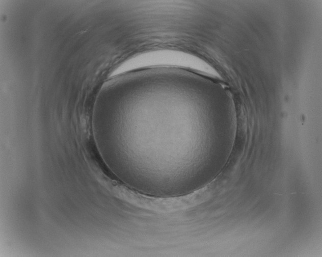 X0000075360031200609251113