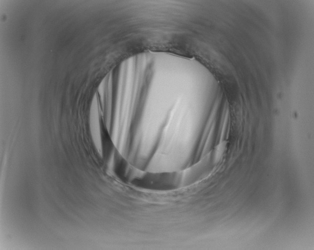 X0000075360033200609251113