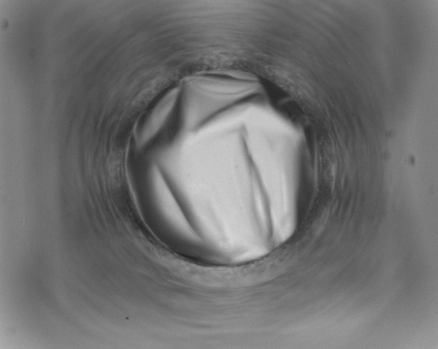 X0000075360034200609251113